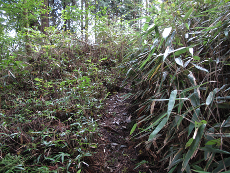 20181009hike (176)